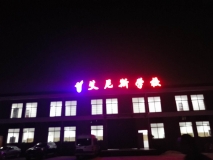 【艾尼斯學(xué)?！繕琼敯l(fā)光字效果